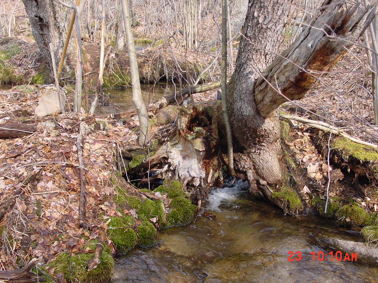 Field photo showing stream conditions at site YOUG-101-R-2001-2