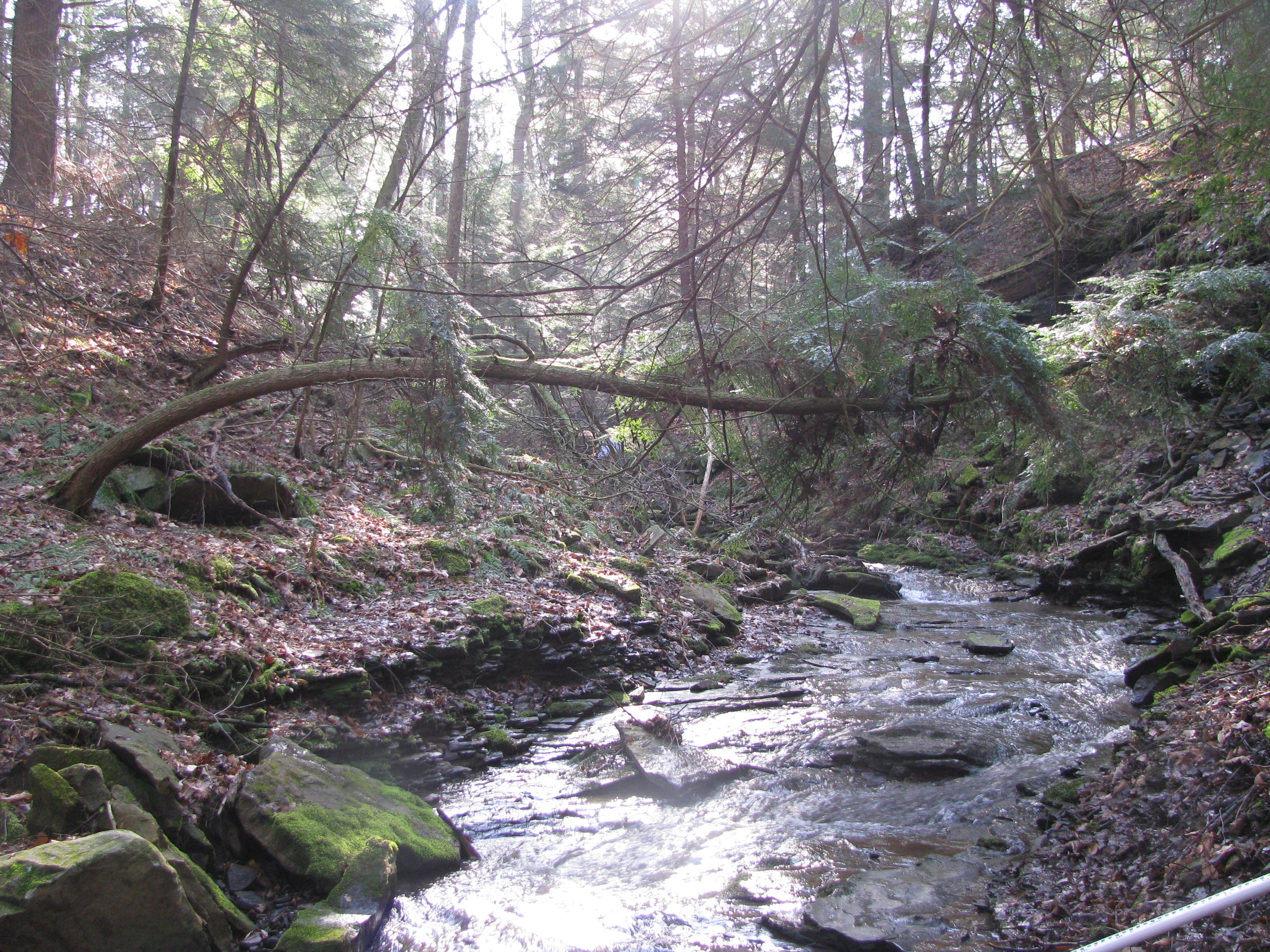 Field photo showing stream conditions at site YOUG-102-D-2012-1