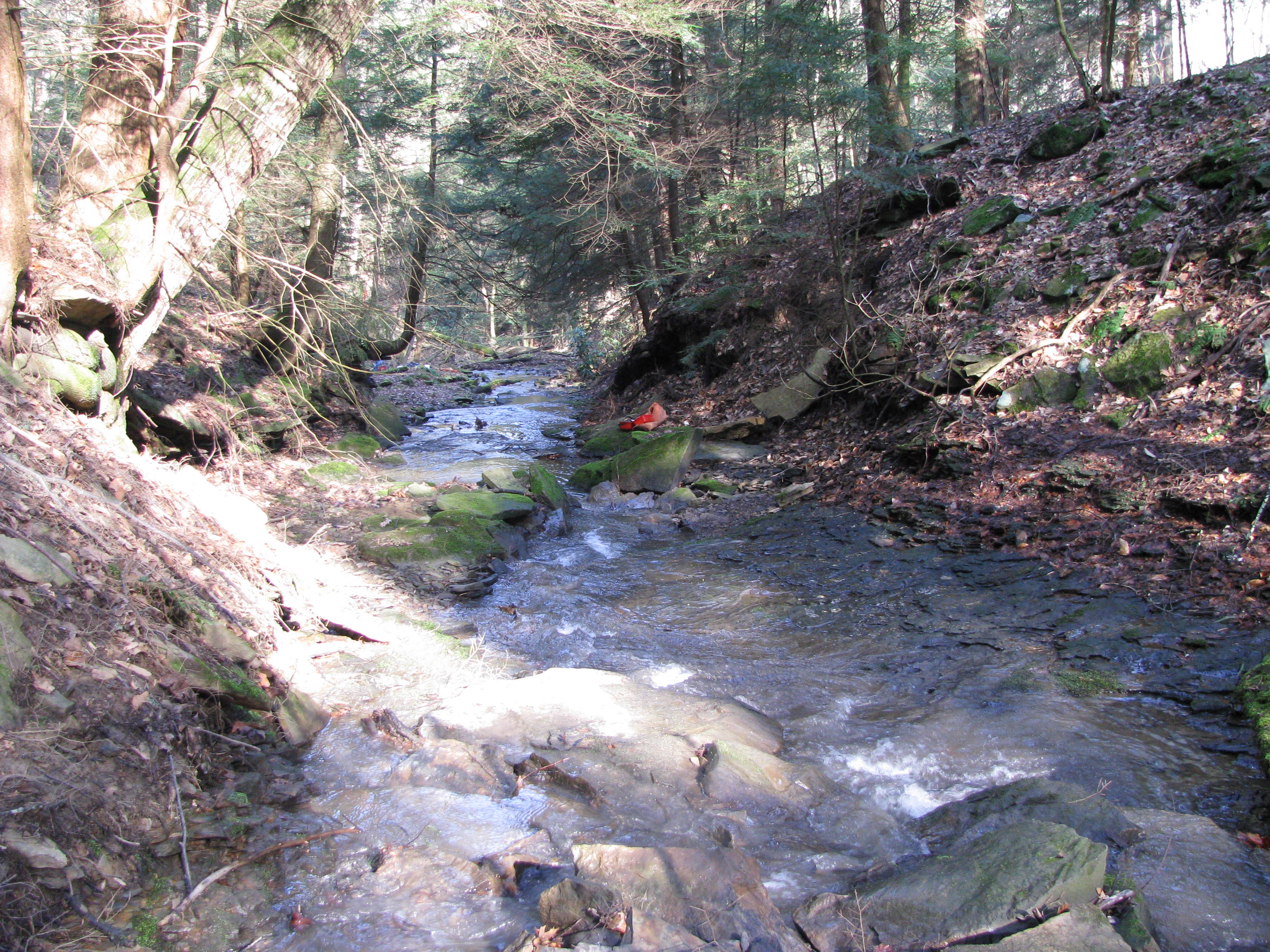 Field photo showing stream conditions at site YOUG-102-D-2012-2