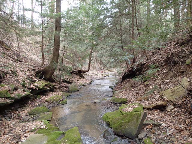 Field photo showing stream conditions at site YOUG-102-D-2013-MidpointDownstream