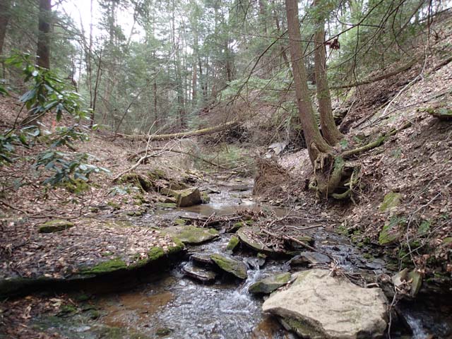 Field photo showing stream conditions at site YOUG-102-D-2013-MidpointUpstream