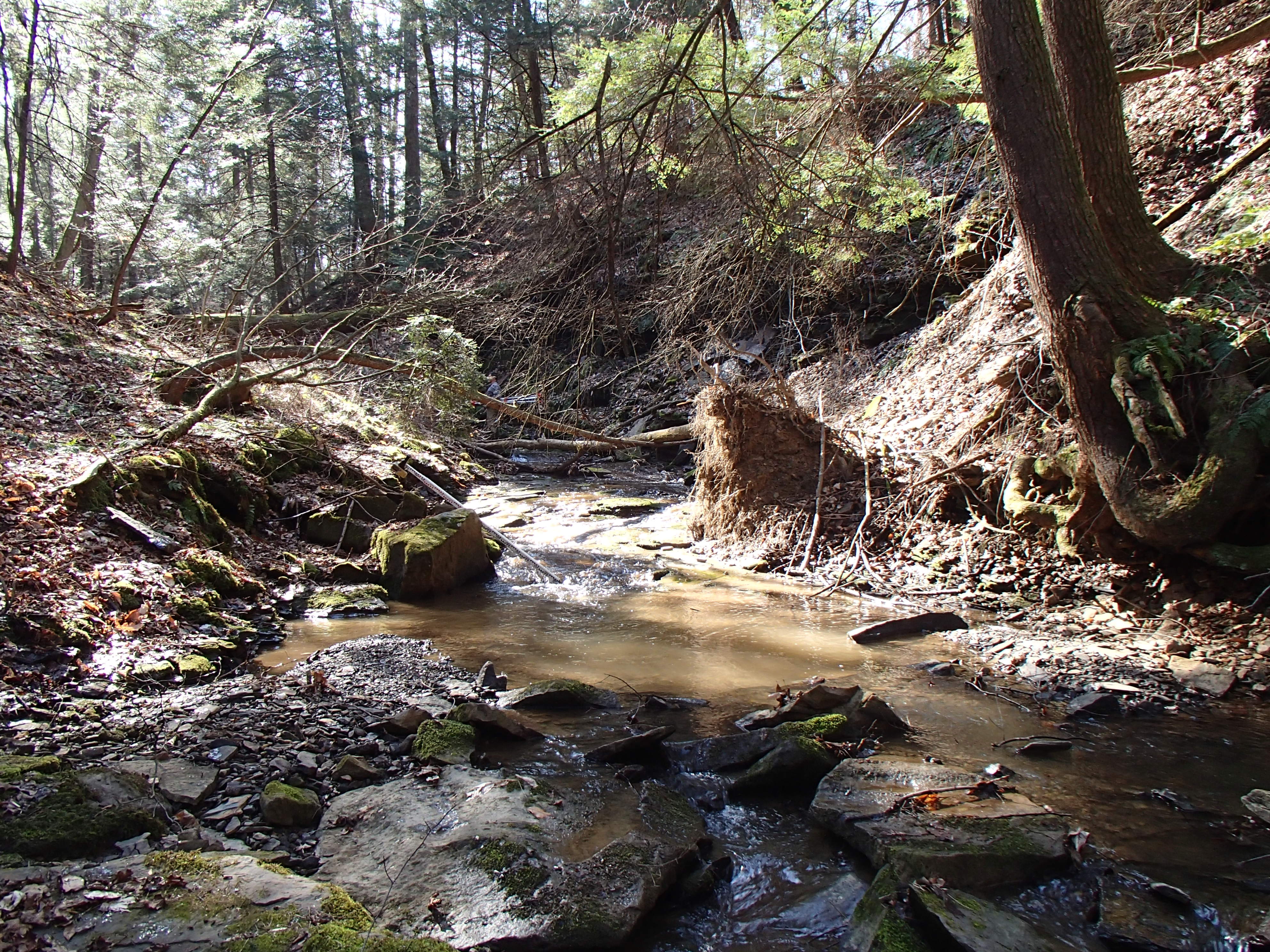 Field photo showing stream conditions at site YOUG-102-D-2014-1
