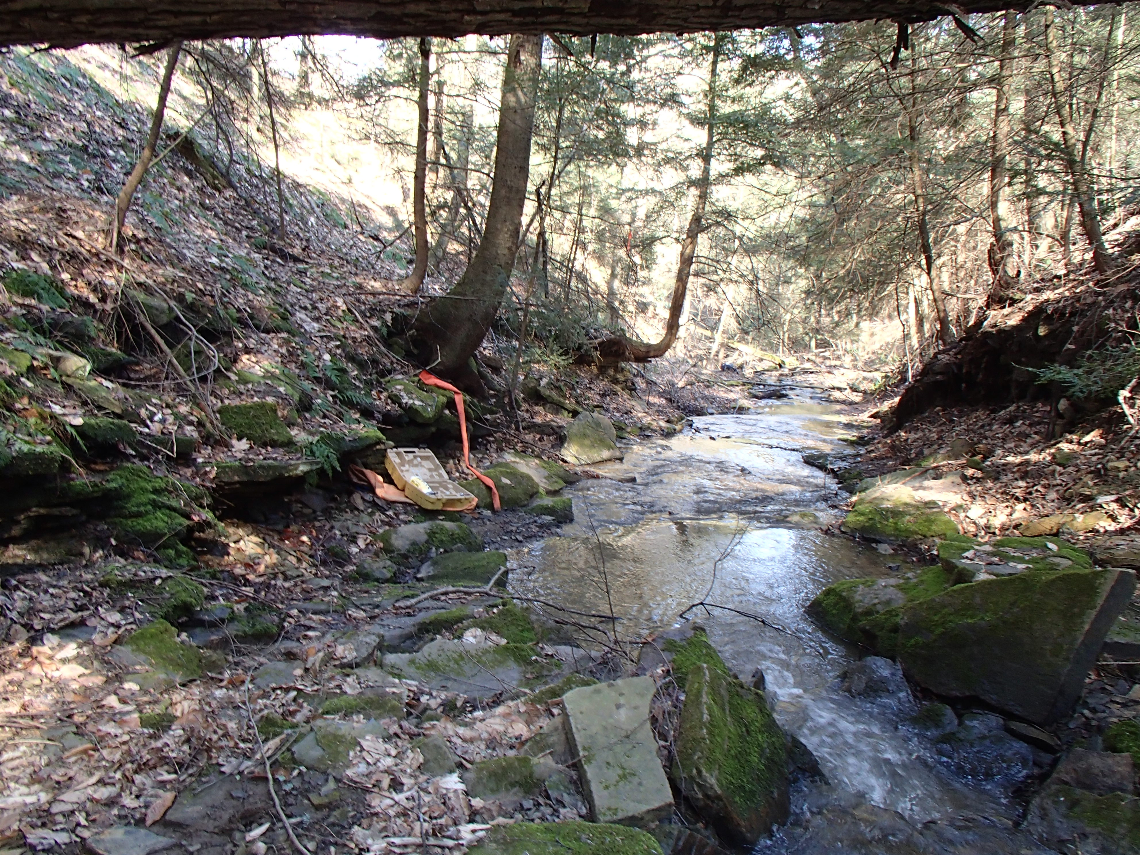 Field photo showing stream conditions at site YOUG-102-D-2014-2
