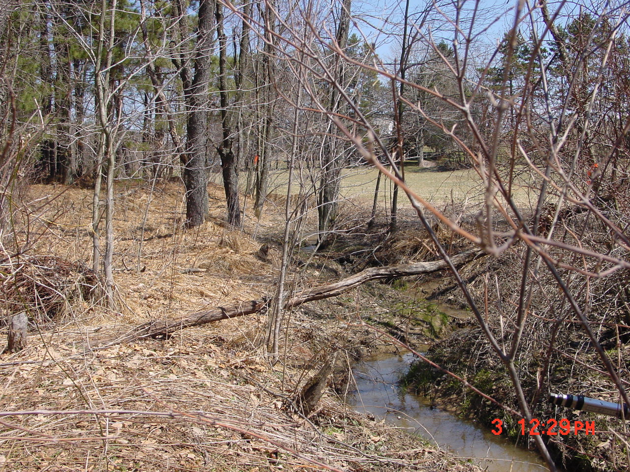 Field photo showing stream conditions at site YOUG-102-R-2001-1