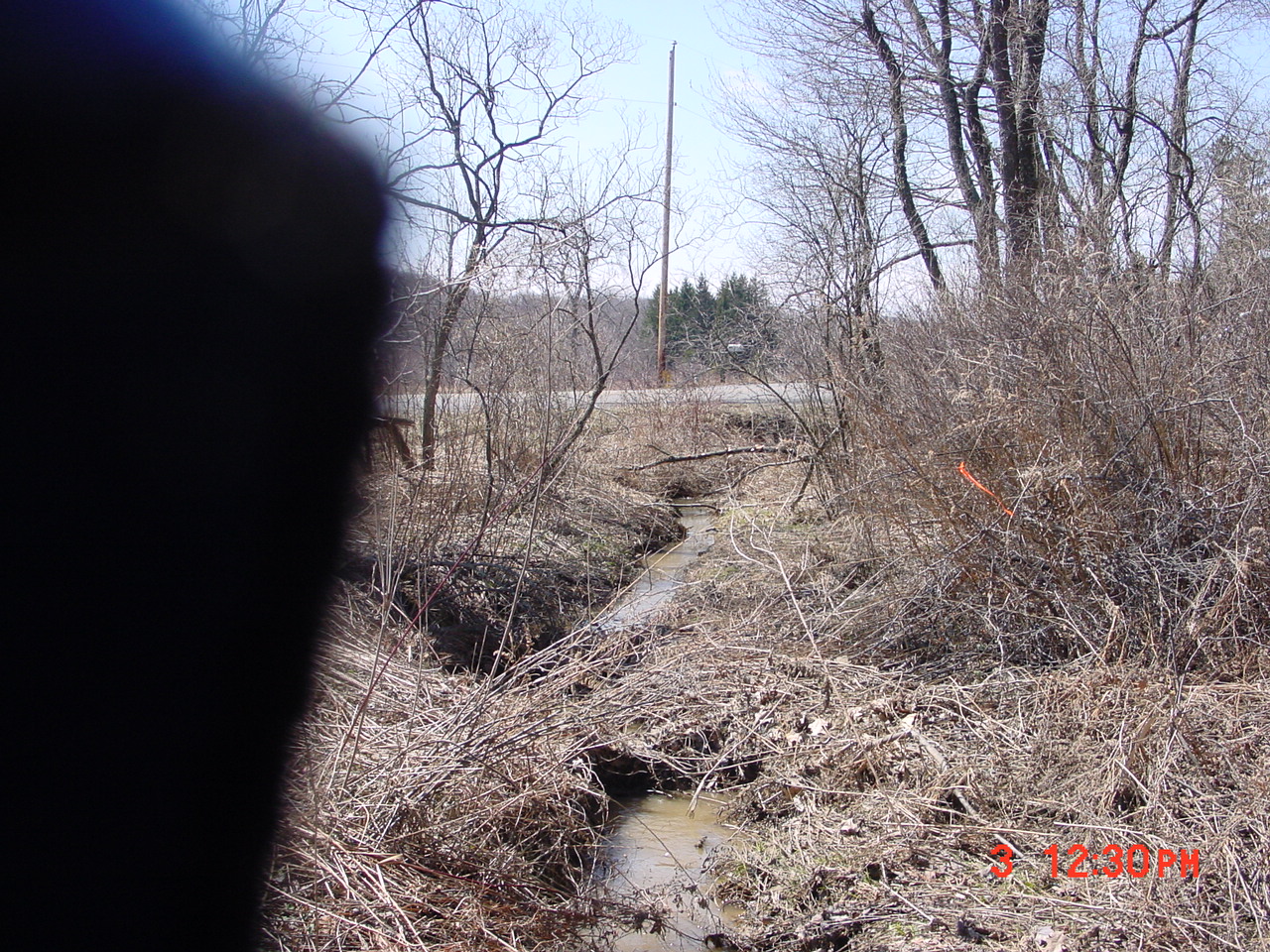 Field photo showing stream conditions at site YOUG-102-R-2001-2