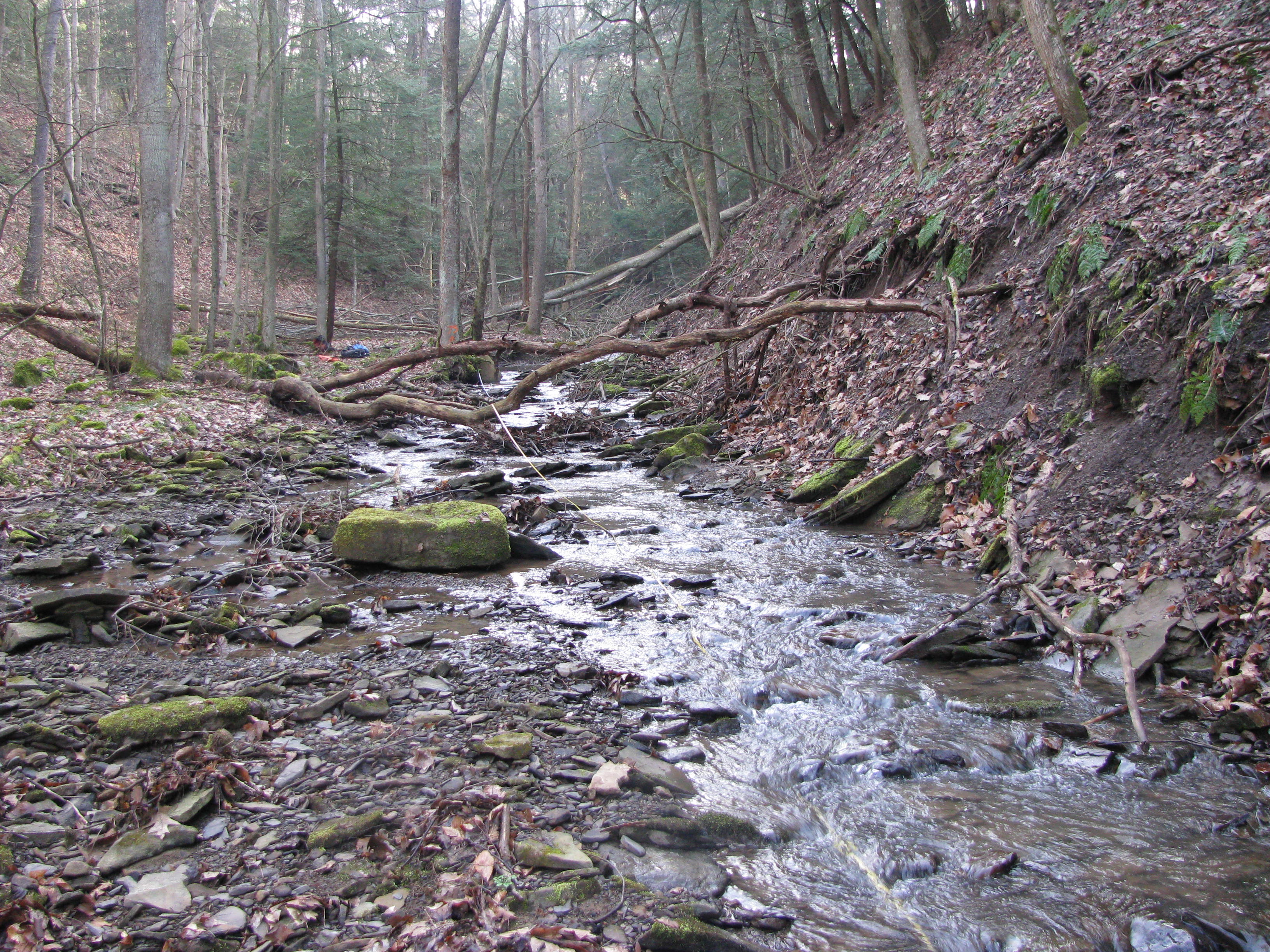 Field photo showing stream conditions at site YOUG-103-D-2012-1