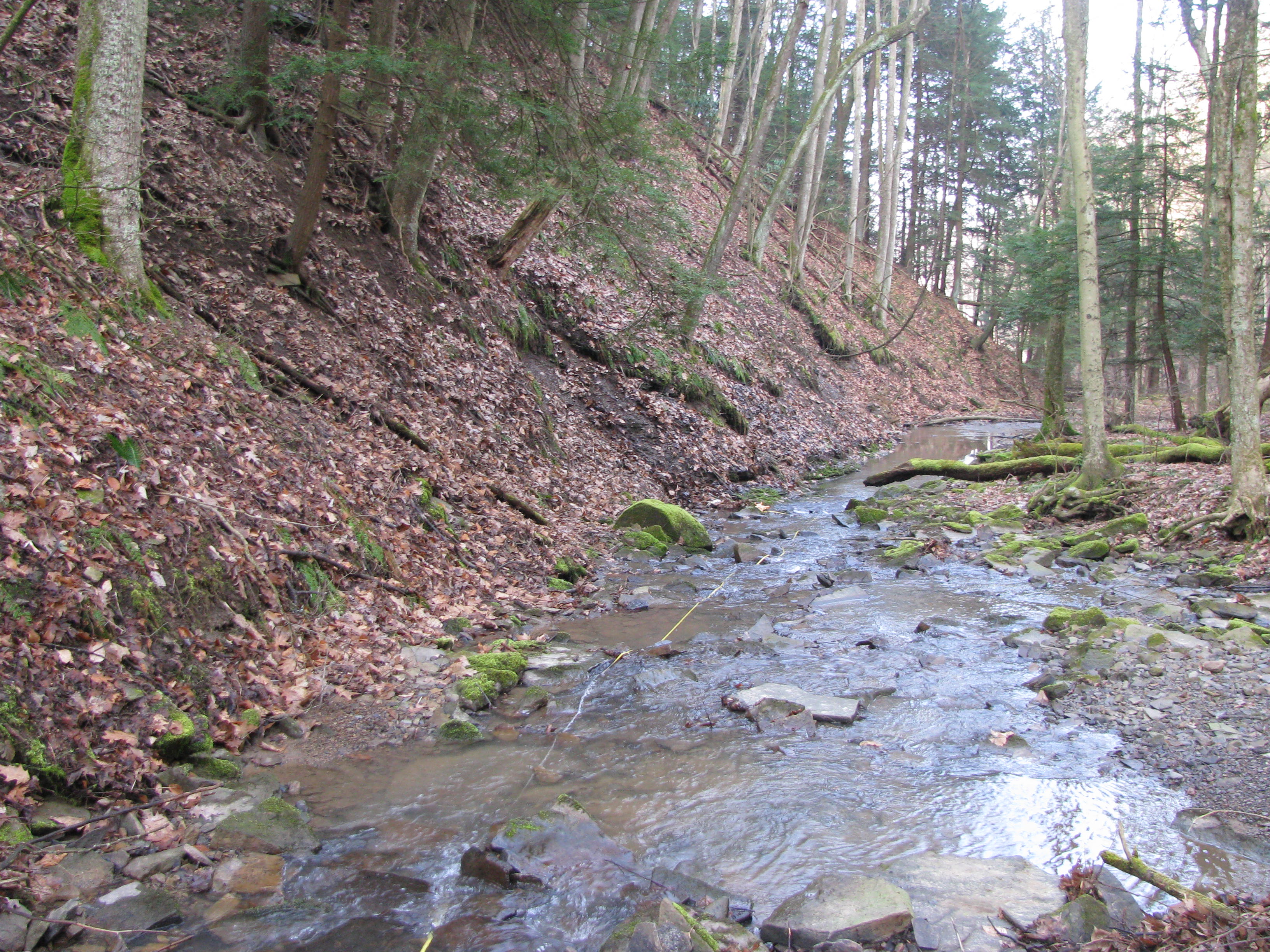 Field photo showing stream conditions at site YOUG-103-D-2012-2