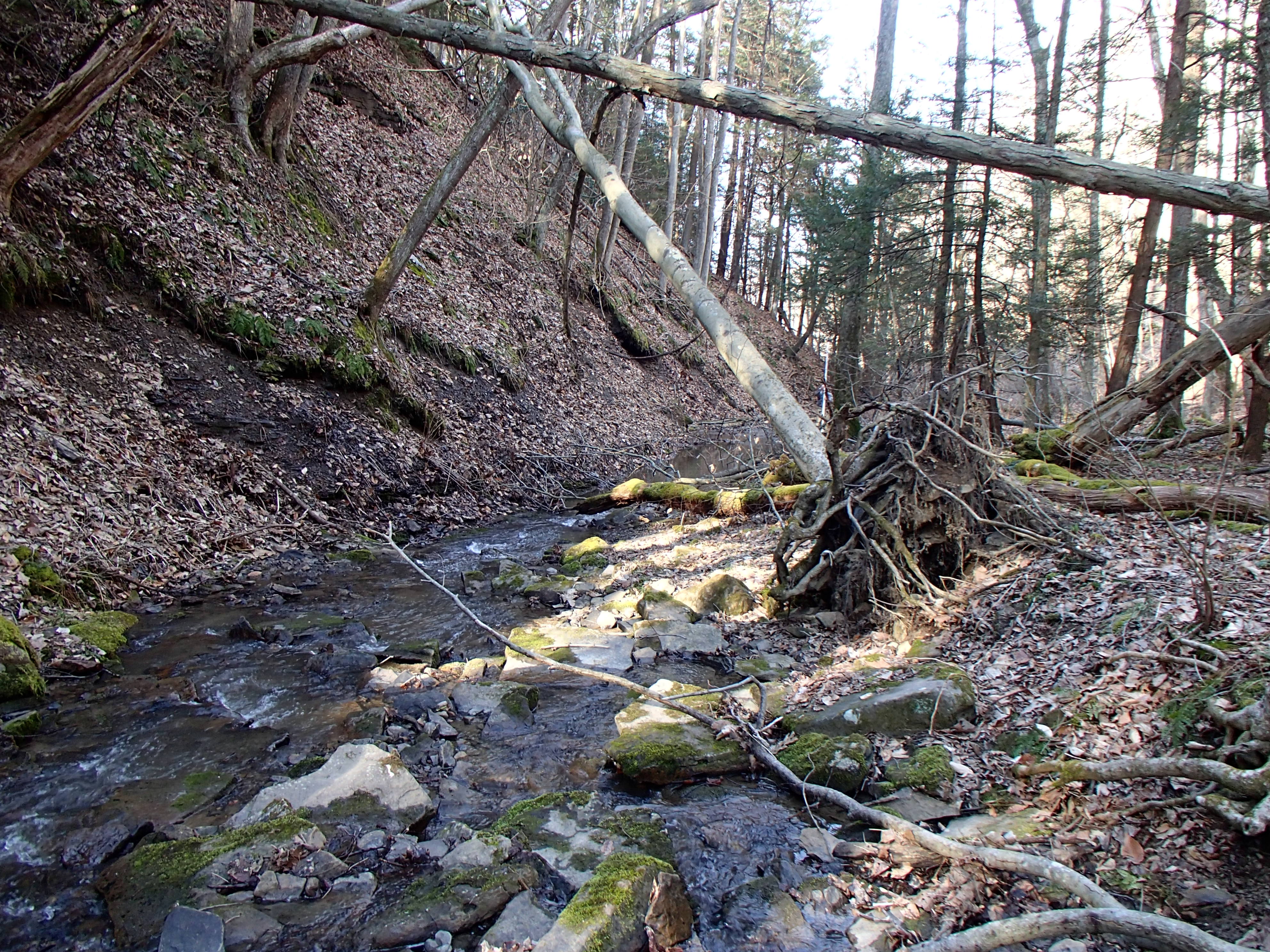Field photo showing stream conditions at site YOUG-103-D-2014-2
