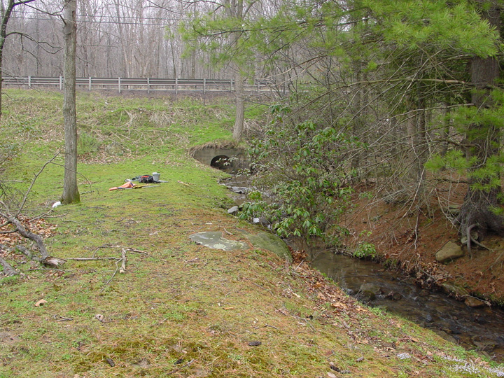 Field photo showing stream conditions at site YOUG-103-R-2007-1