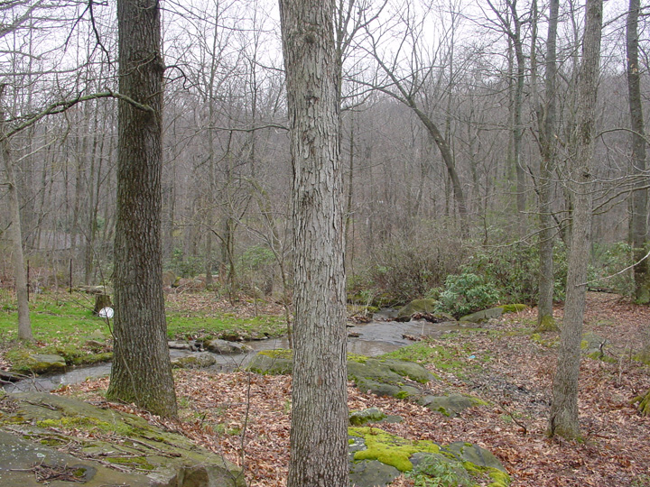 Field photo showing stream conditions at site YOUG-103-R-2007-2