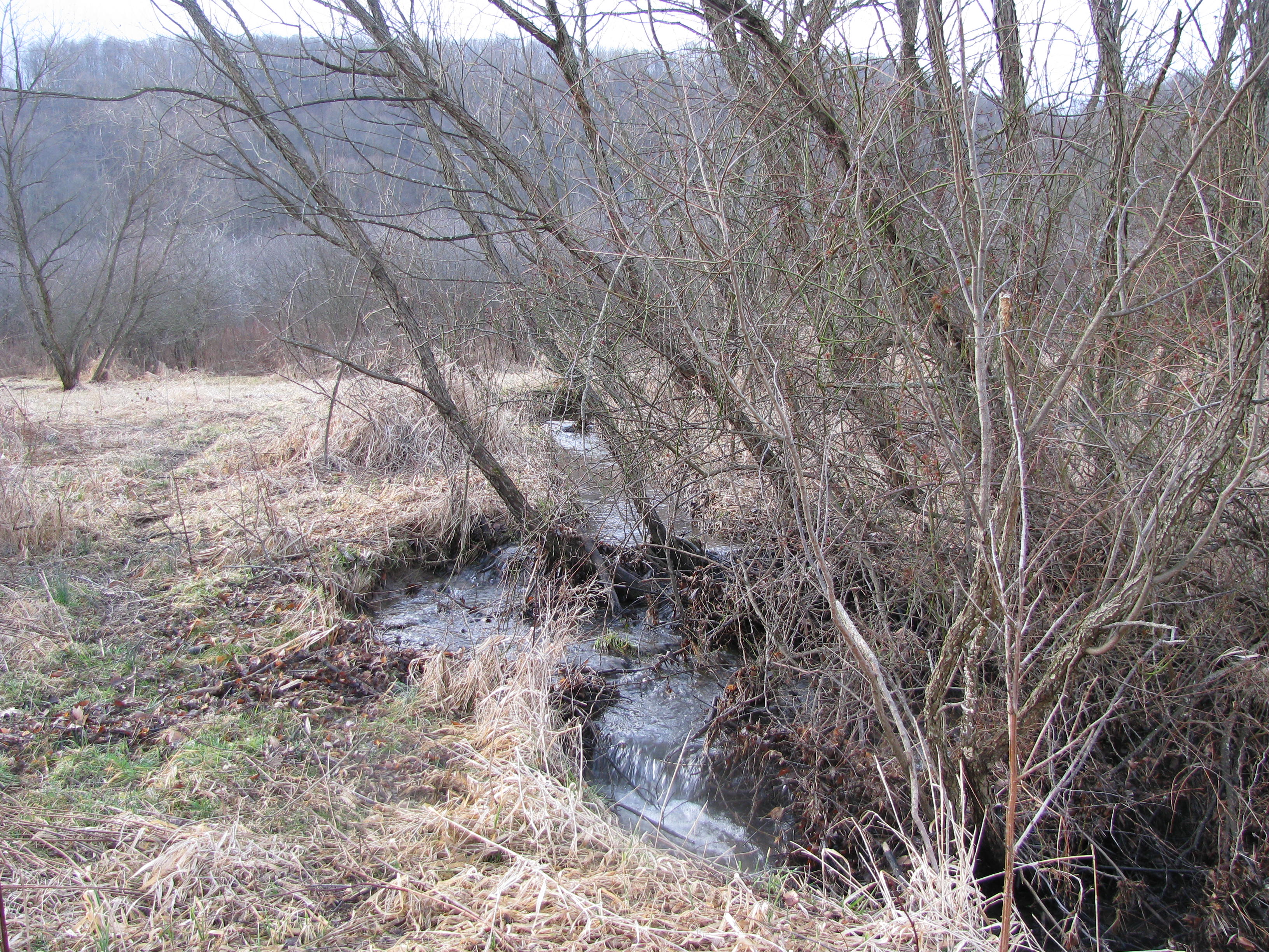 Field photo showing stream conditions at site YOUG-104-D-2012-2