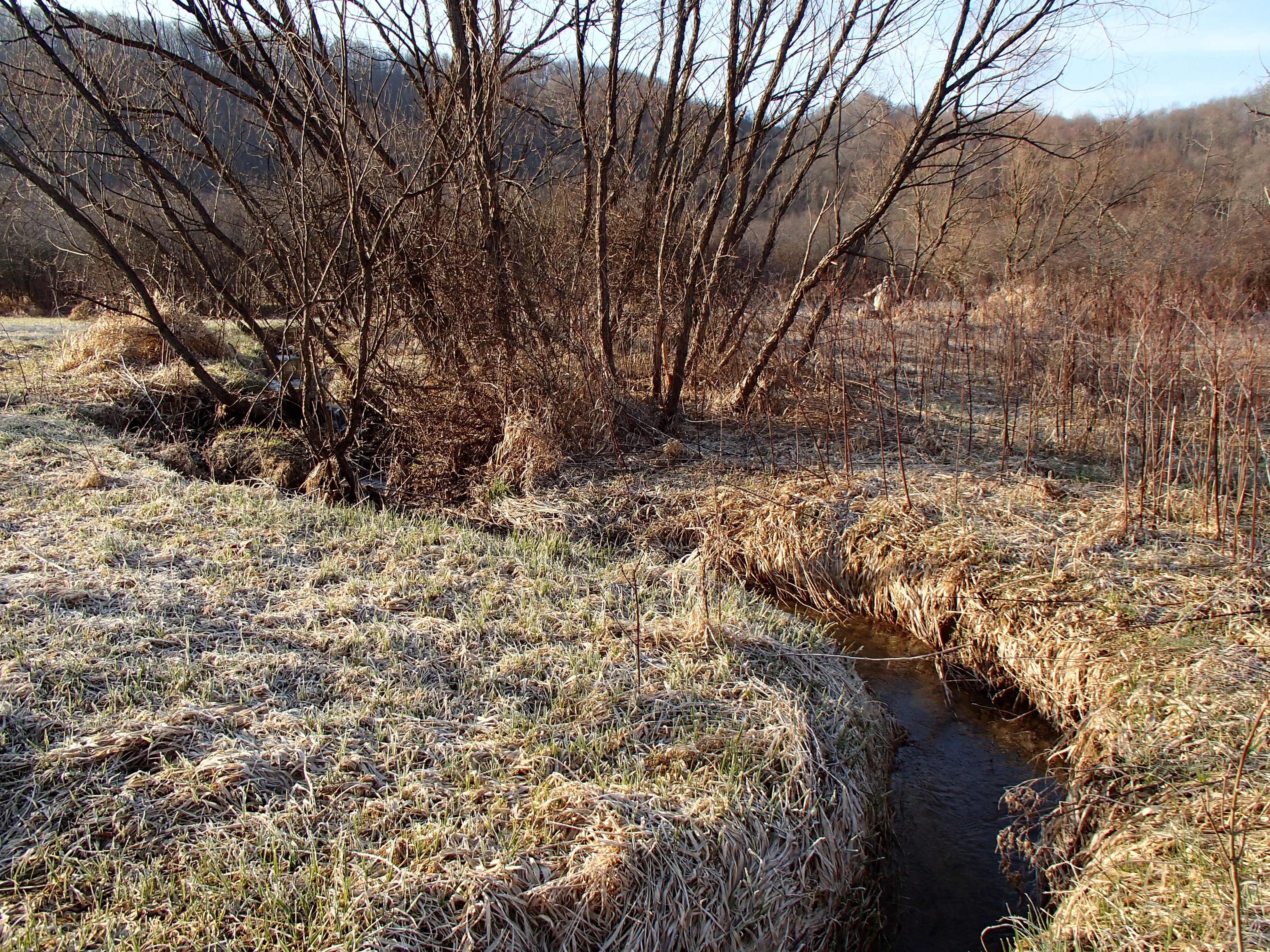 Field photo showing stream conditions at site YOUG-104-D-2014-1