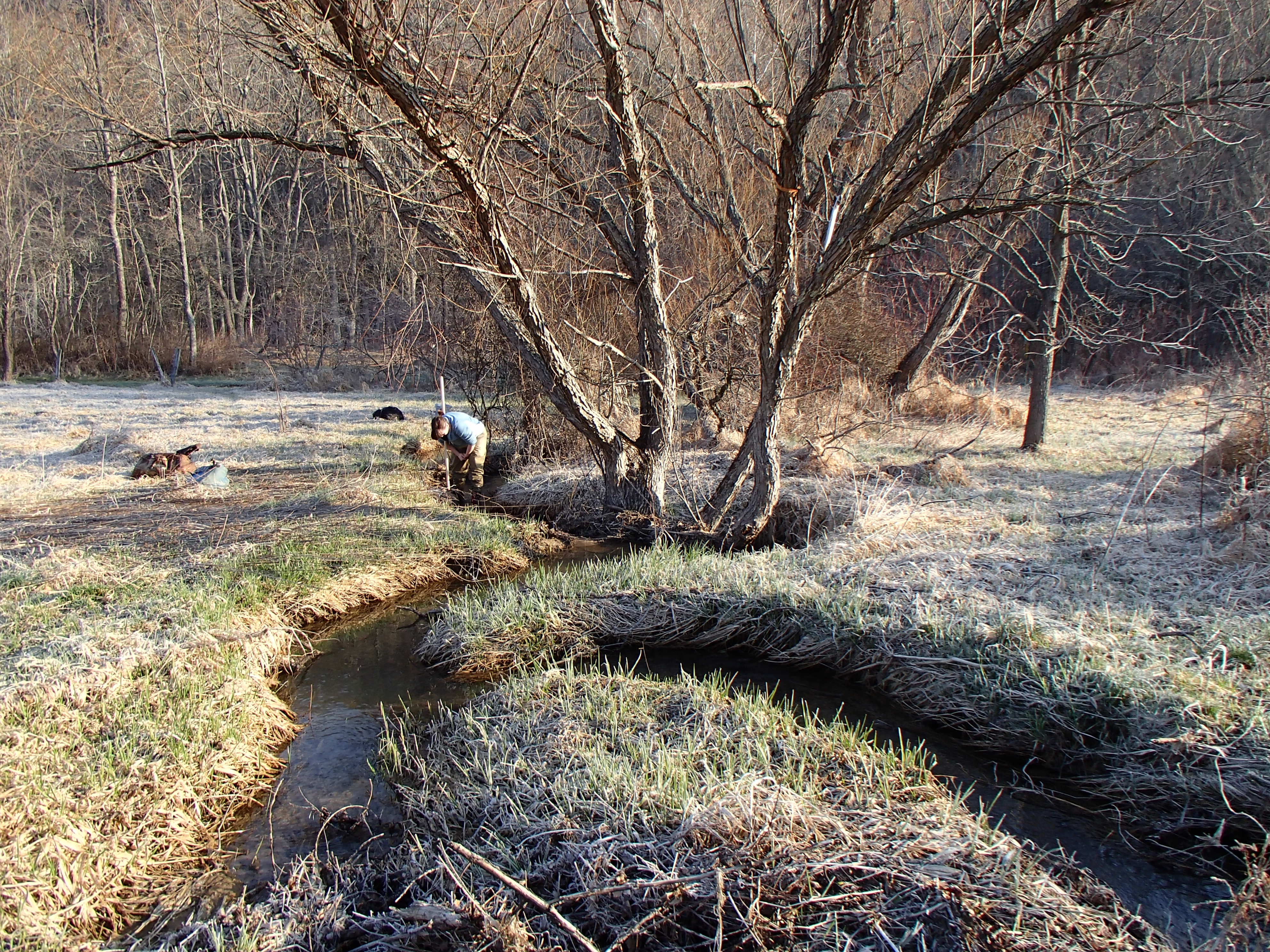 Field photo showing stream conditions at site YOUG-104-D-2014-2