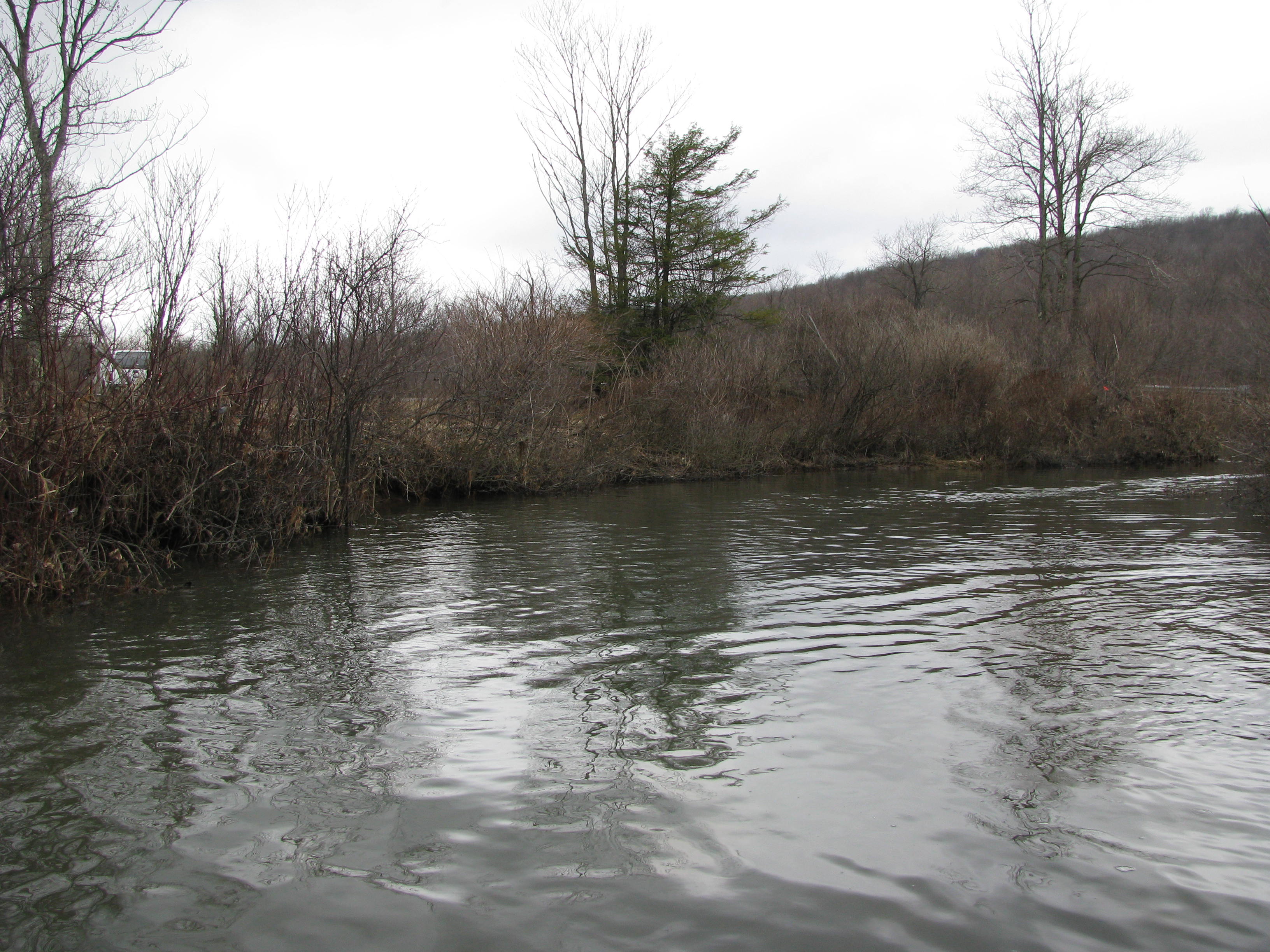 Field photo showing stream conditions at site YOUG-105-D-2012-1