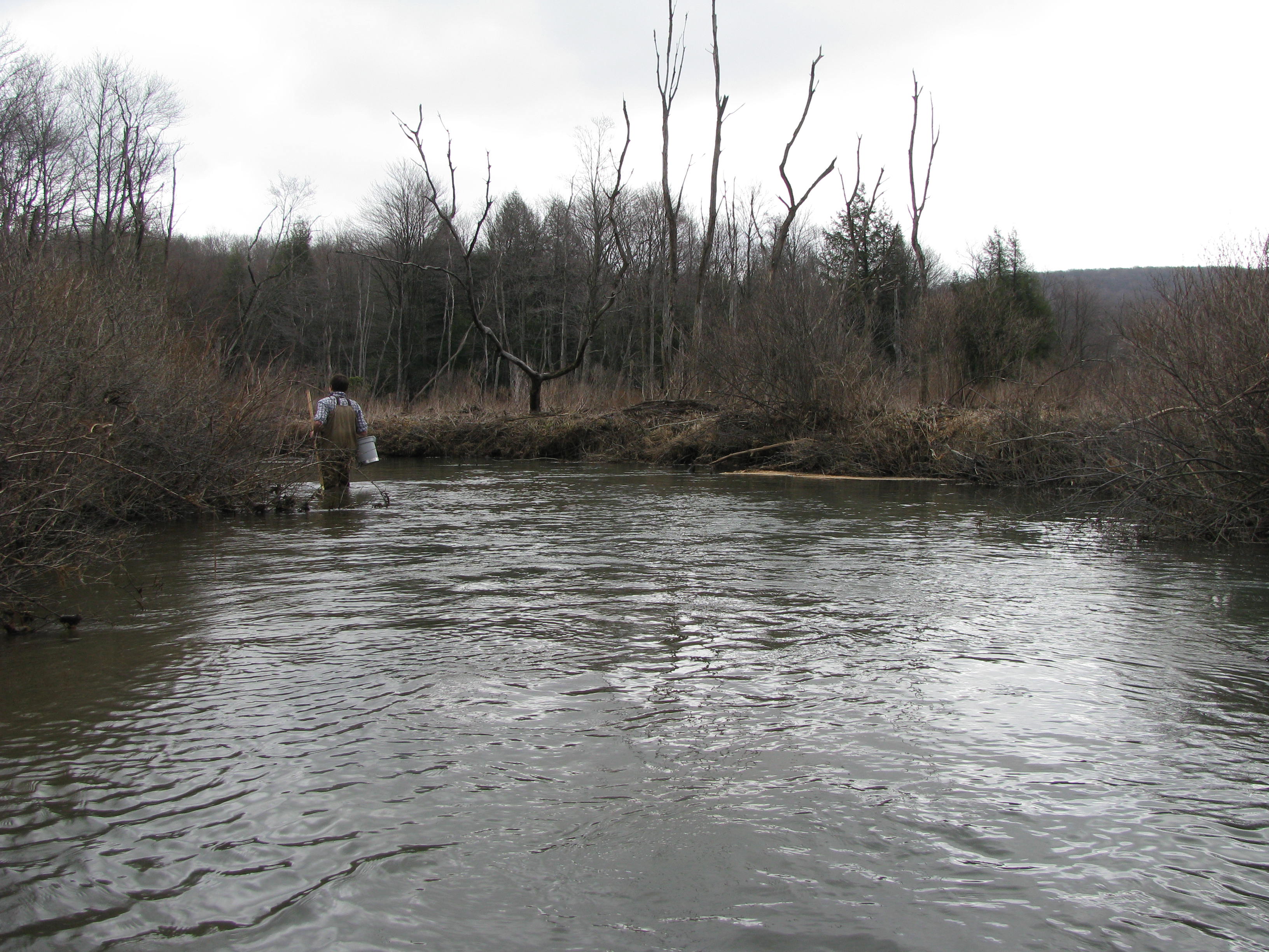 Field photo showing stream conditions at site YOUG-105-D-2012-2
