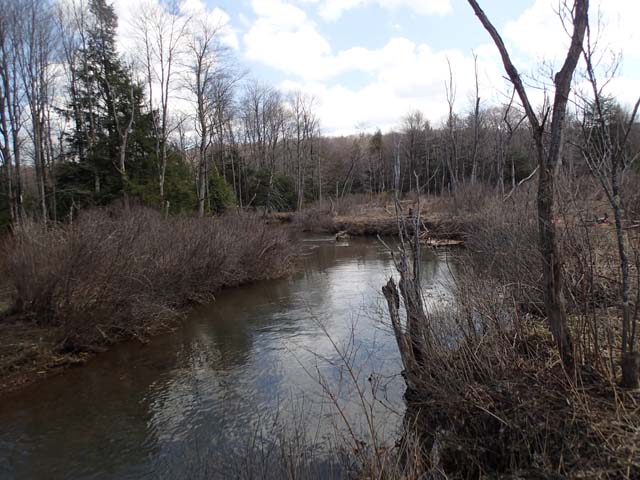 Field photo showing stream conditions at site YOUG-105-D-2013-MidpointDownstream