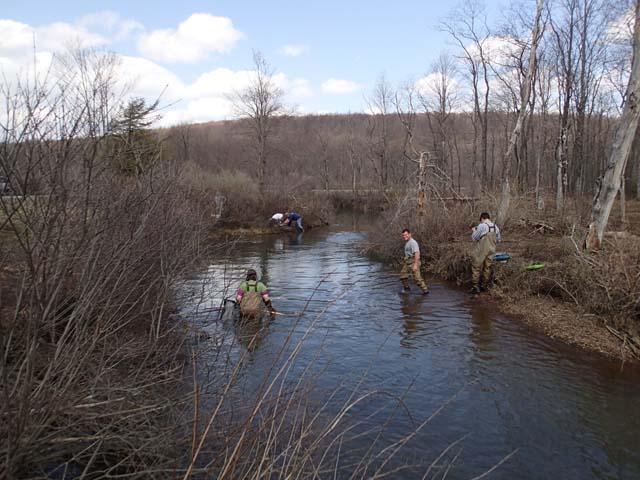 Field photo showing stream conditions at site YOUG-105-D-2013-MidpointUpstream