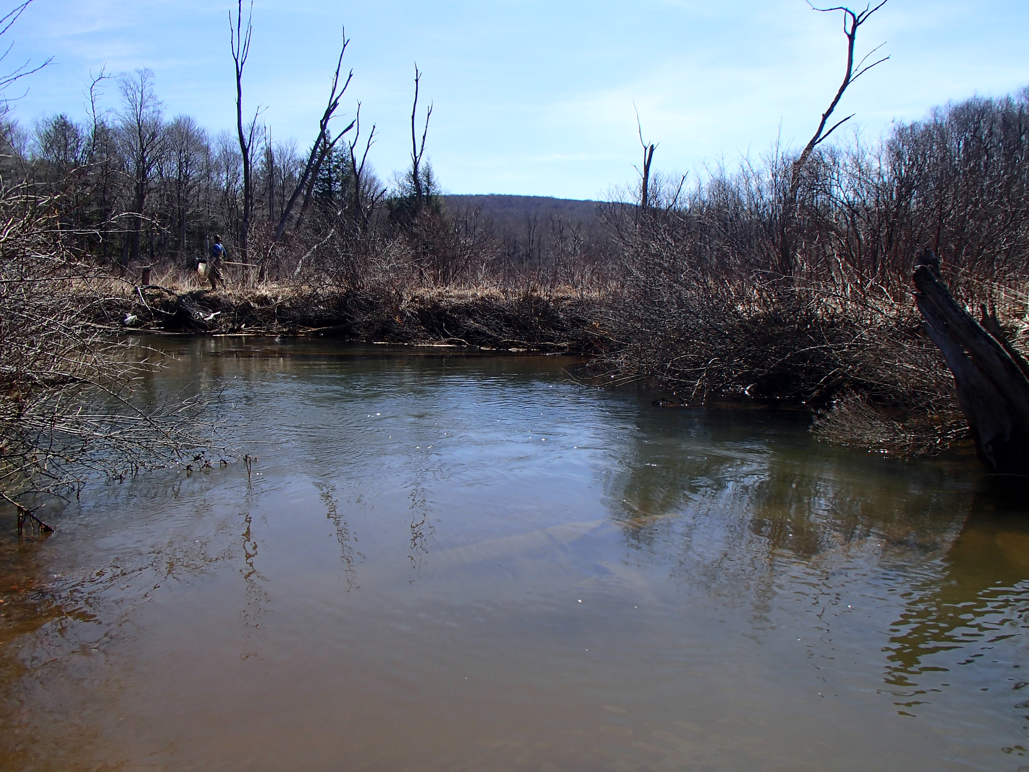 Field photo showing stream conditions at site YOUG-105-D-2014-1