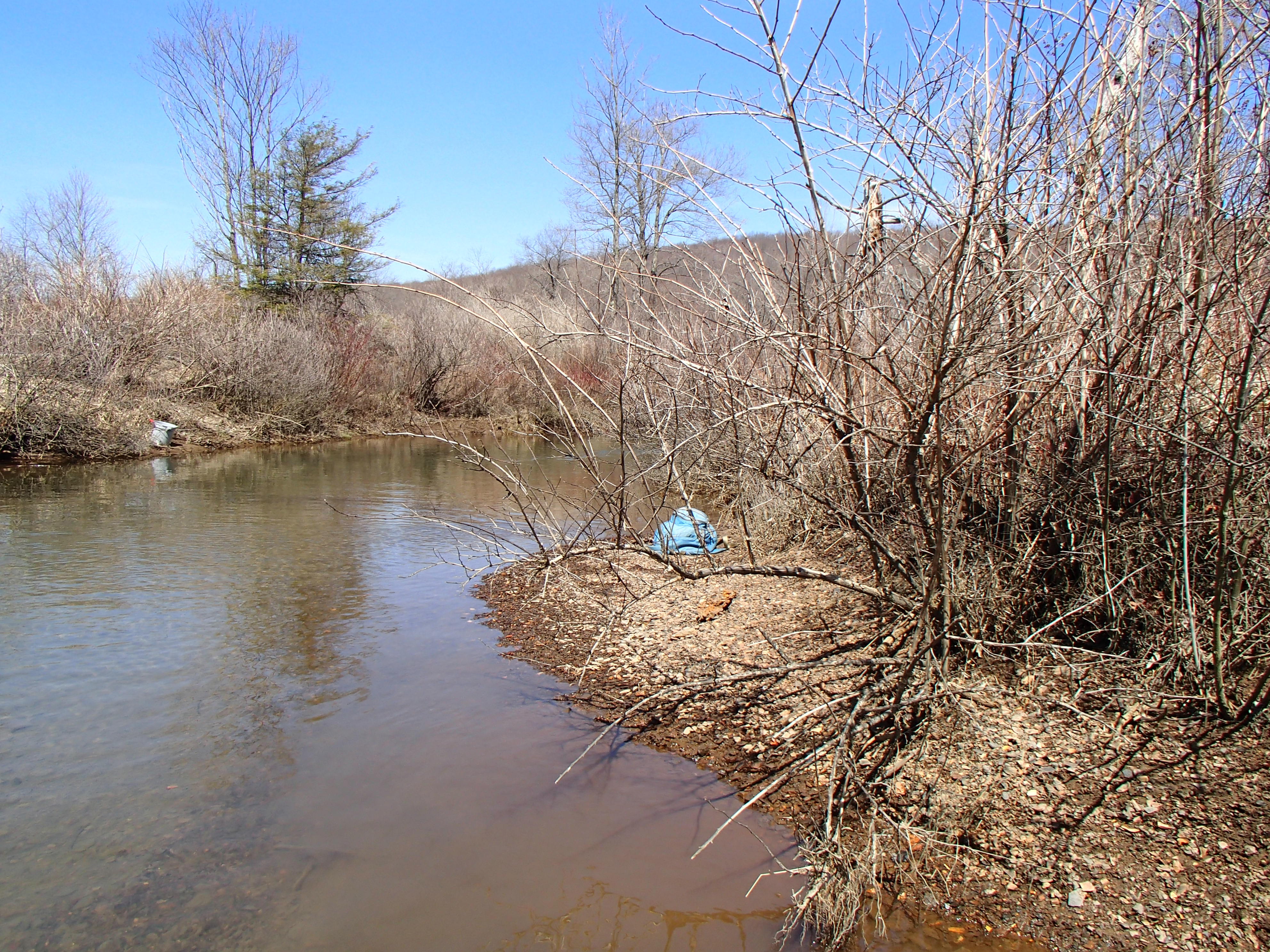 Field photo showing stream conditions at site YOUG-105-D-2014-2