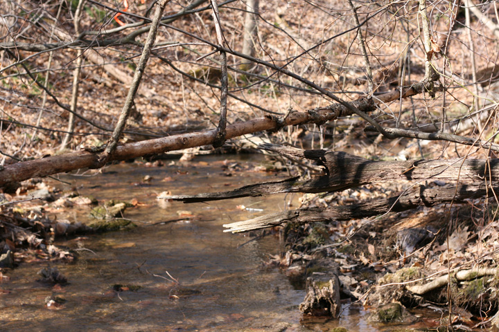 Field photo showing stream conditions at site YOUG-106-A-2009-1