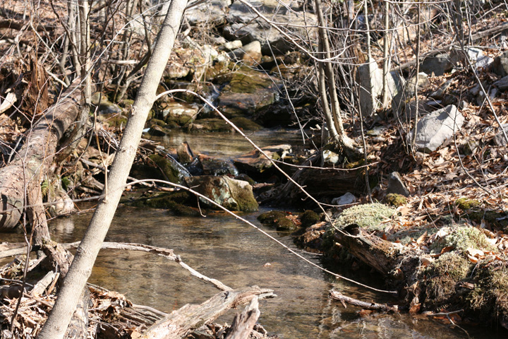 Field photo showing stream conditions at site YOUG-106-A-2009-2