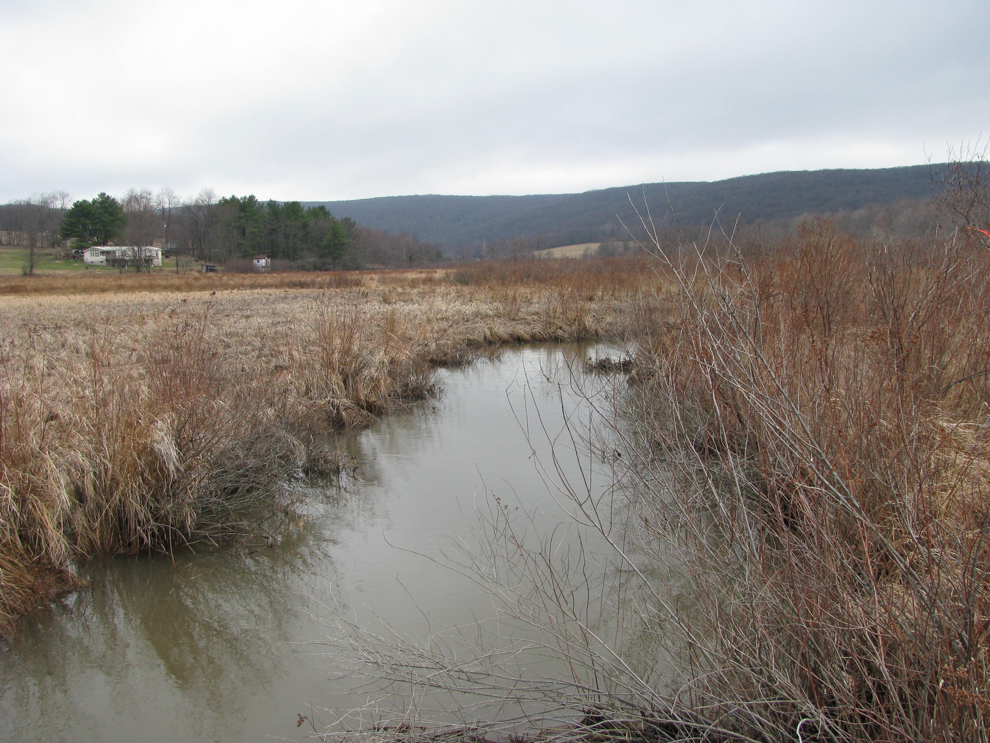 Field photo showing stream conditions at site YOUG-106-D-2012-1