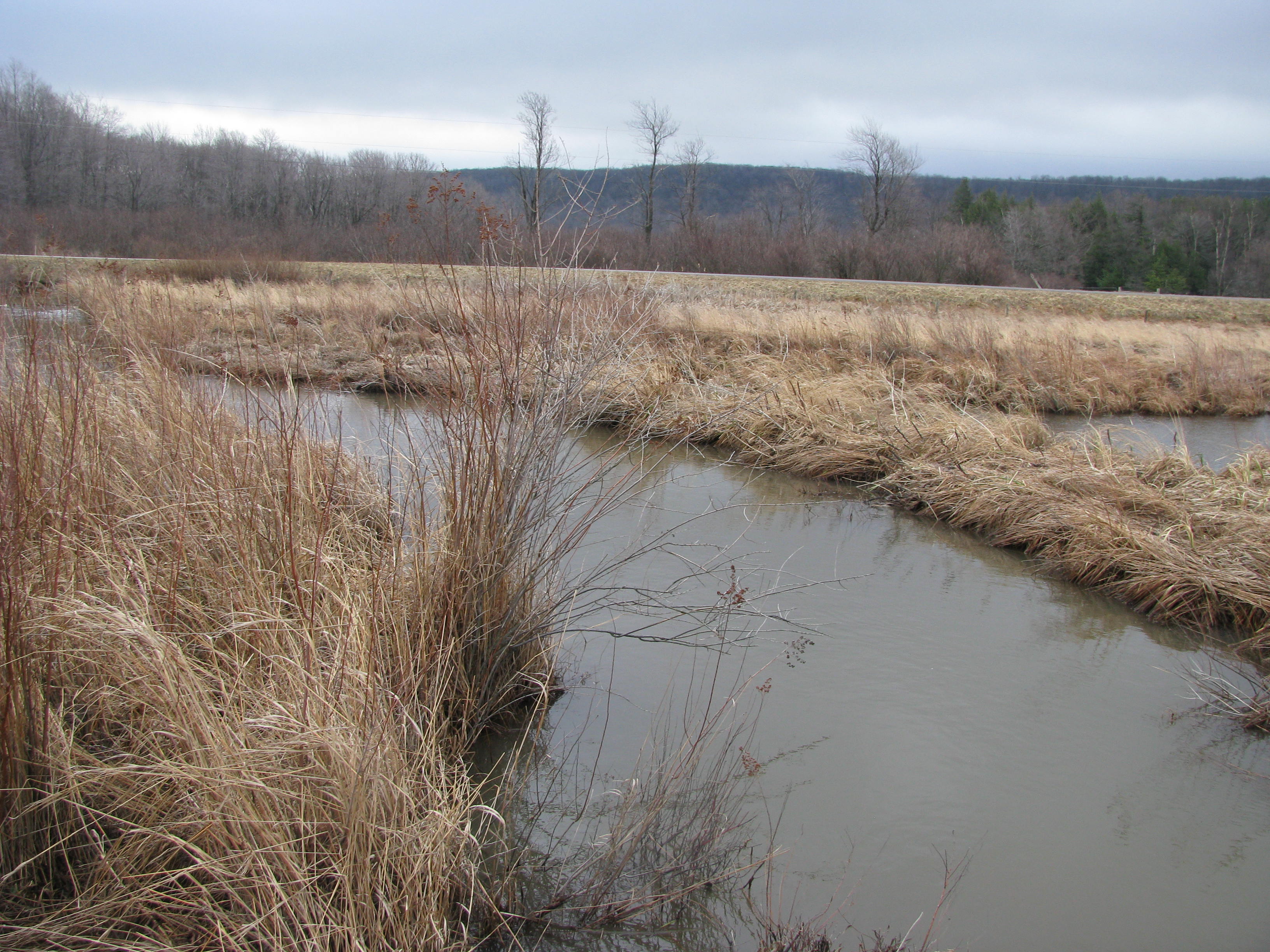 Field photo showing stream conditions at site YOUG-106-D-2012-2