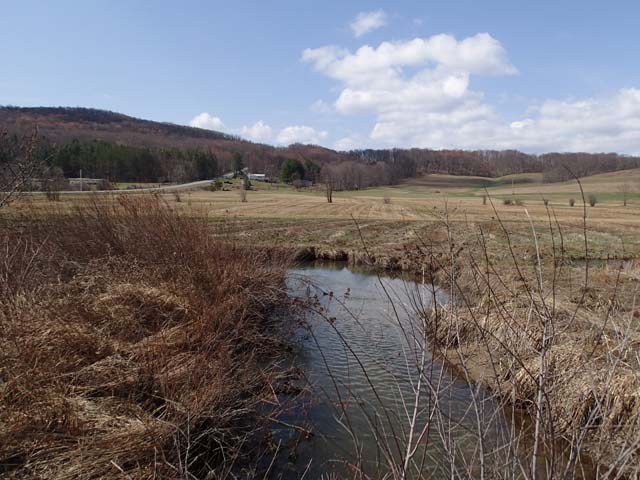 Field photo showing stream conditions at site YOUG-106-D-2013-MidpointDownstream