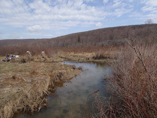 Field photo showing stream conditions at site YOUG-106-D-2013-MidpointUpstream