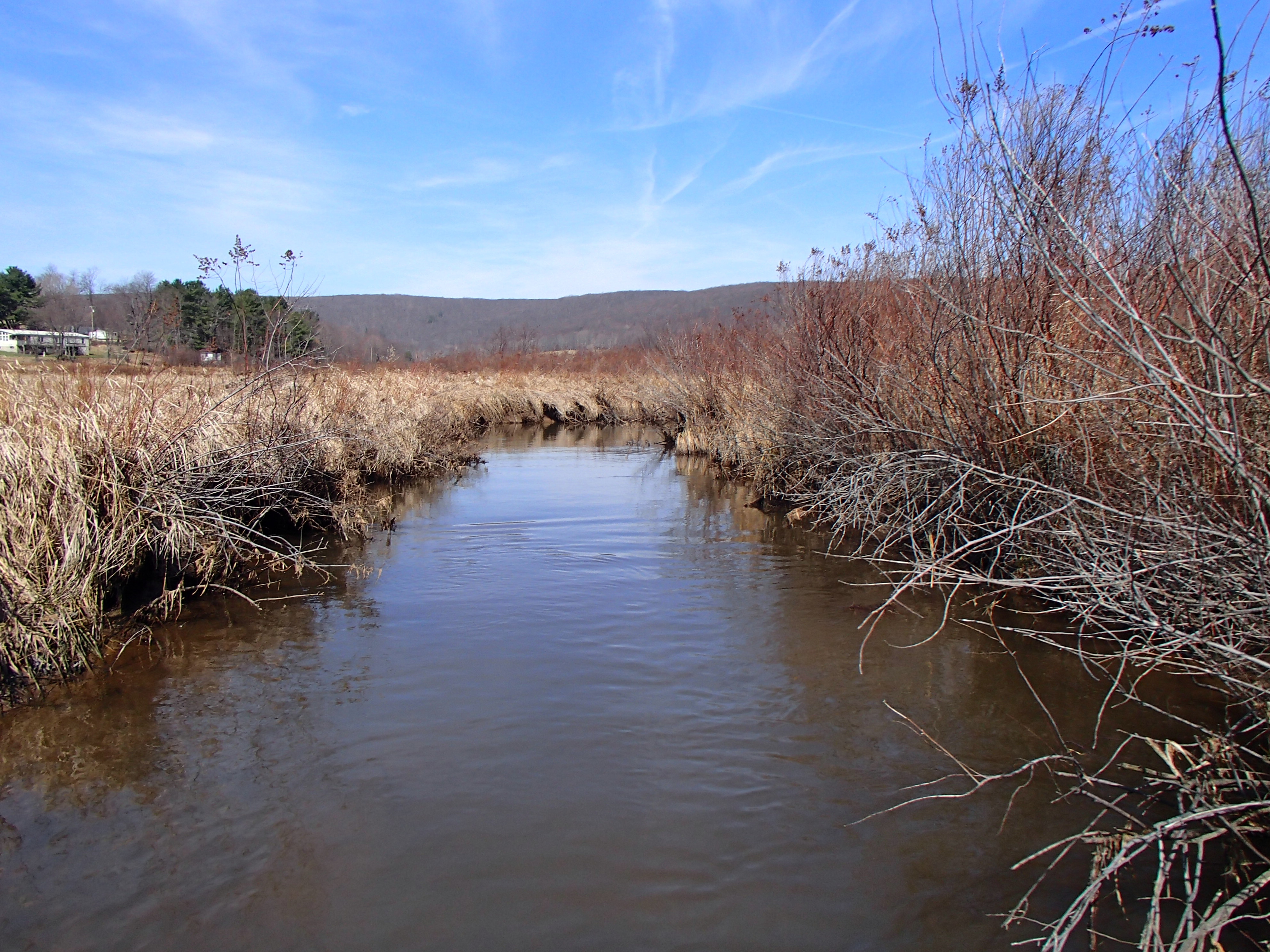 Field photo showing stream conditions at site YOUG-106-D-2014-1