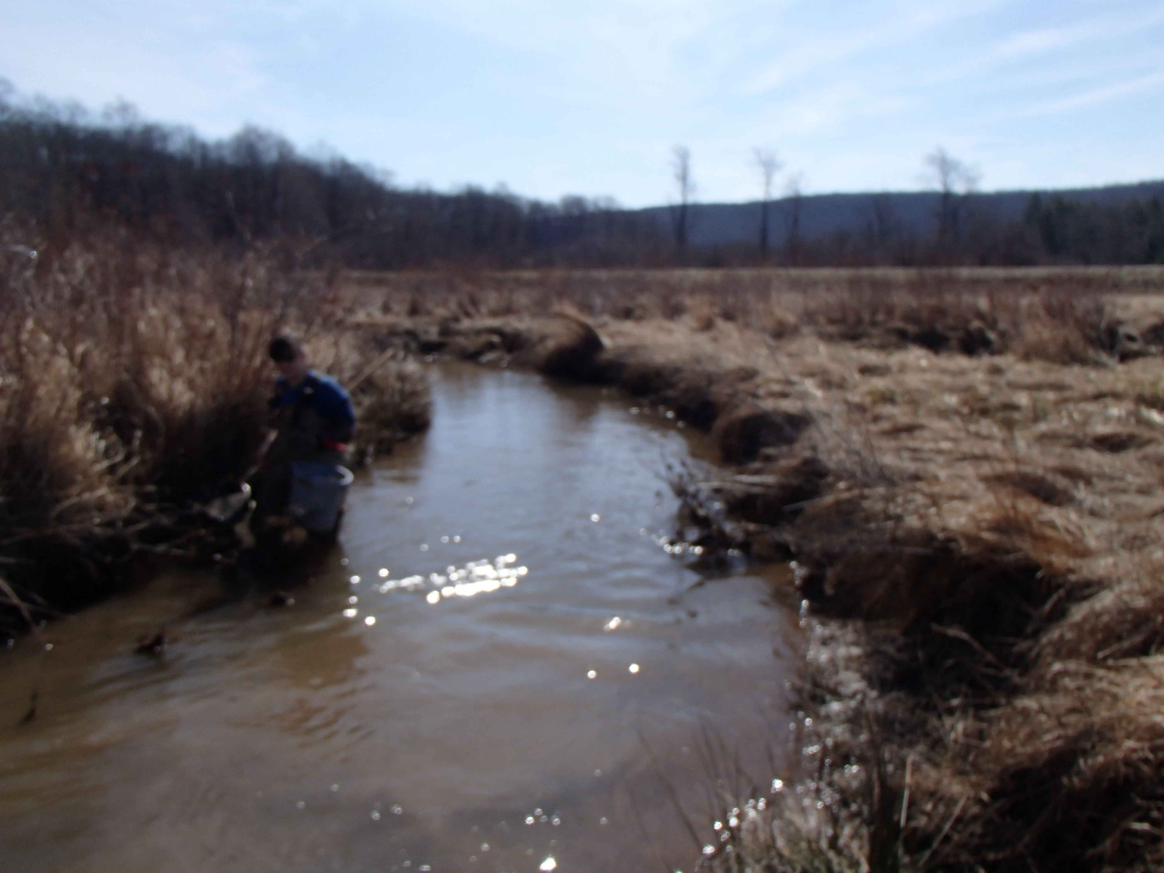 Field photo showing stream conditions at site YOUG-106-D-2014-2