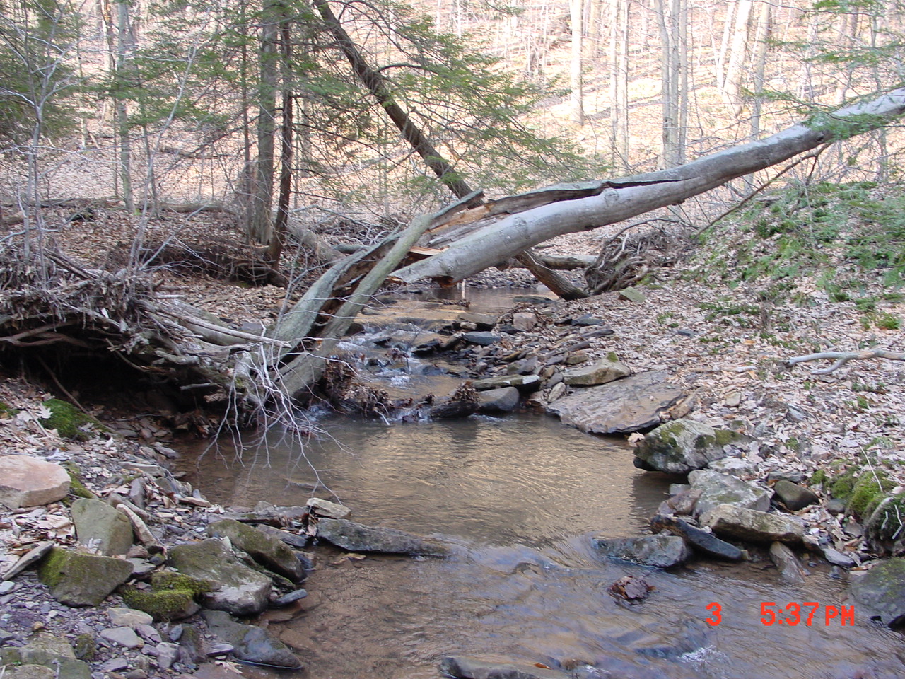 Field photo showing stream conditions at site YOUG-106-R-2001-1