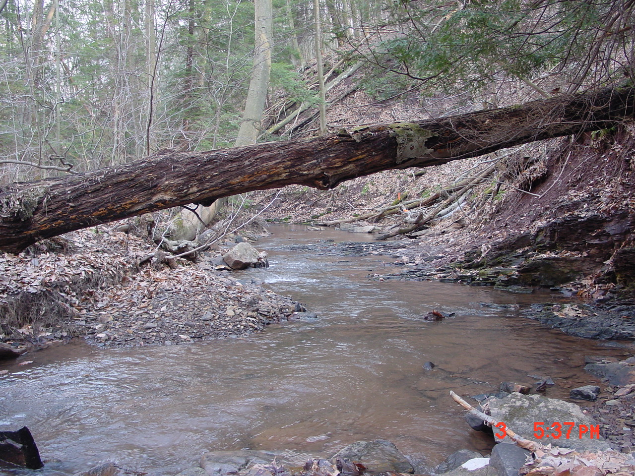 Field photo showing stream conditions at site YOUG-106-R-2001-2