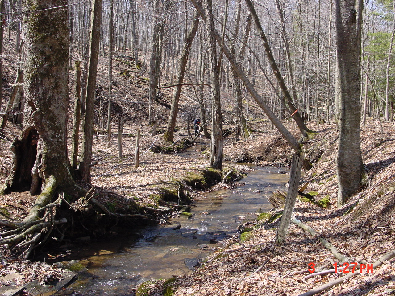 Field photo showing stream conditions at site YOUG-107-R-2001-1