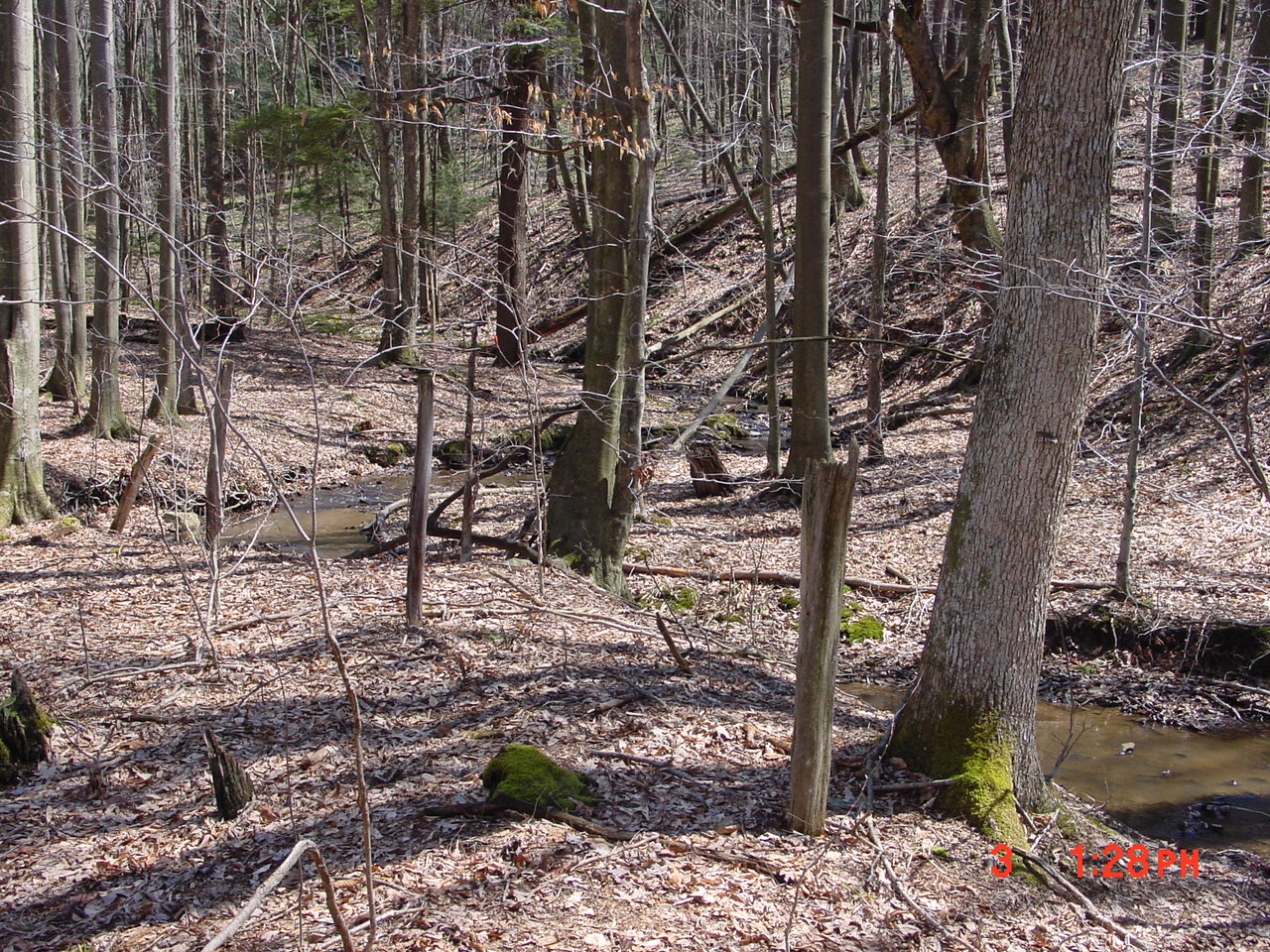 Field photo showing stream conditions at site YOUG-107-R-2001-2