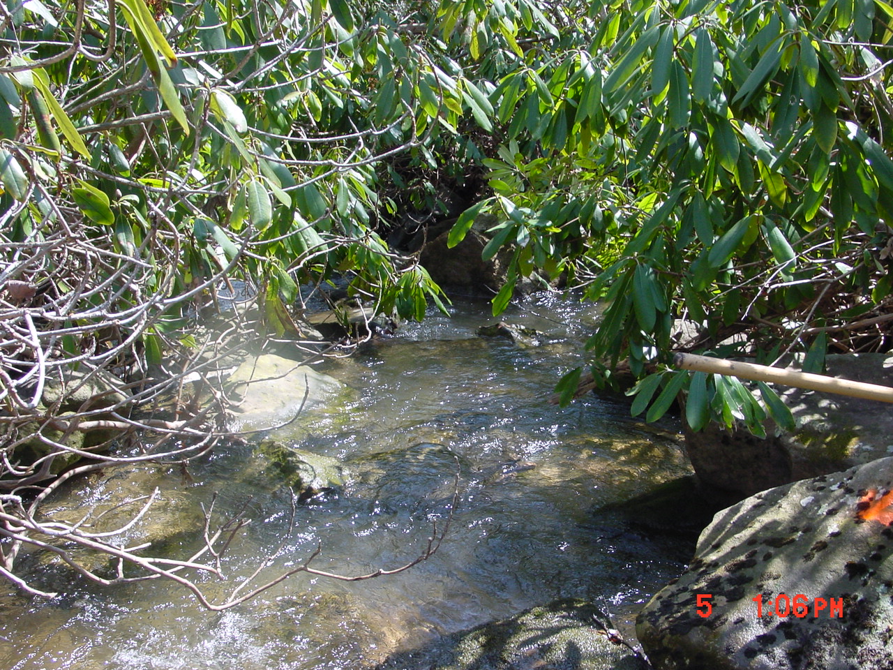 Field photo showing stream conditions at site YOUG-112-R-2001-1