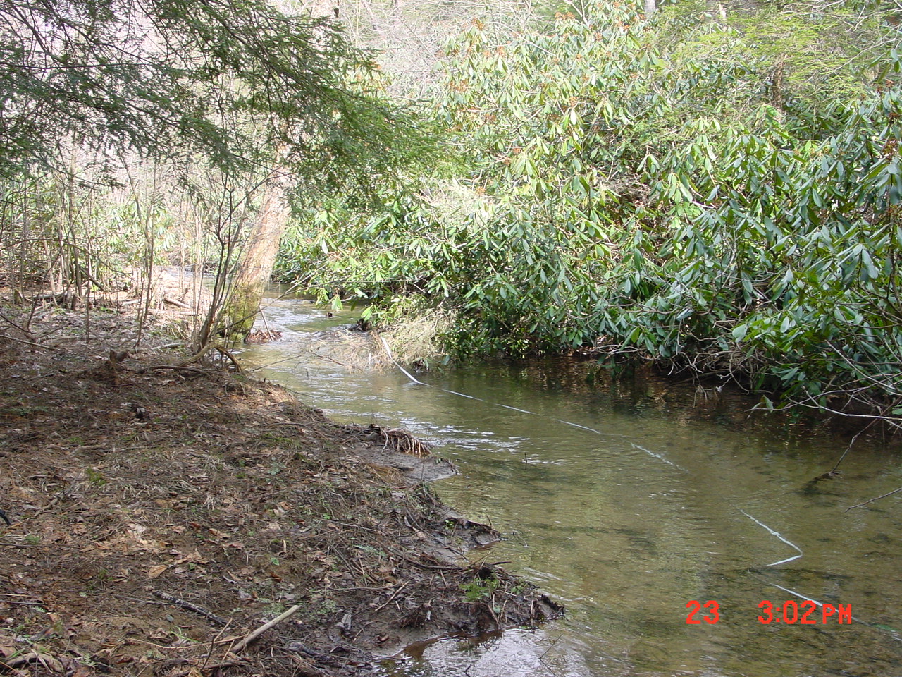Field photo showing stream conditions at site YOUG-117-R-2001-1