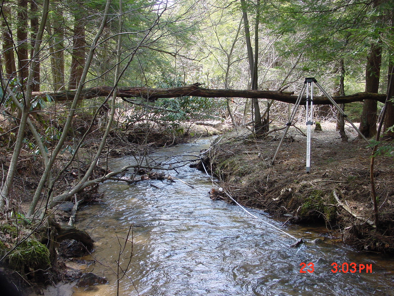 Field photo showing stream conditions at site YOUG-117-R-2001-2