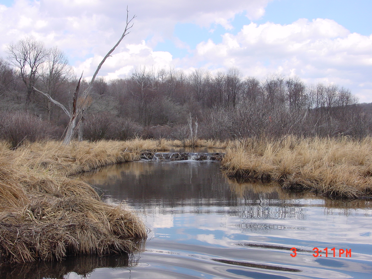 Field photo showing stream conditions at site YOUG-118-R-2001-1