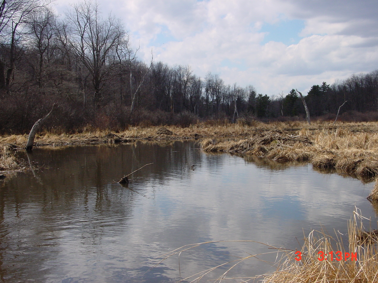 Field photo showing stream conditions at site YOUG-118-R-2001-2