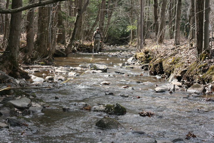 Field photo showing stream conditions at site YOUG-120-A-2009-1
