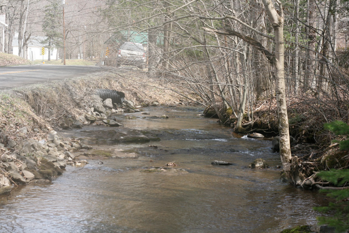 Field photo showing stream conditions at site YOUG-120-A-2009-2