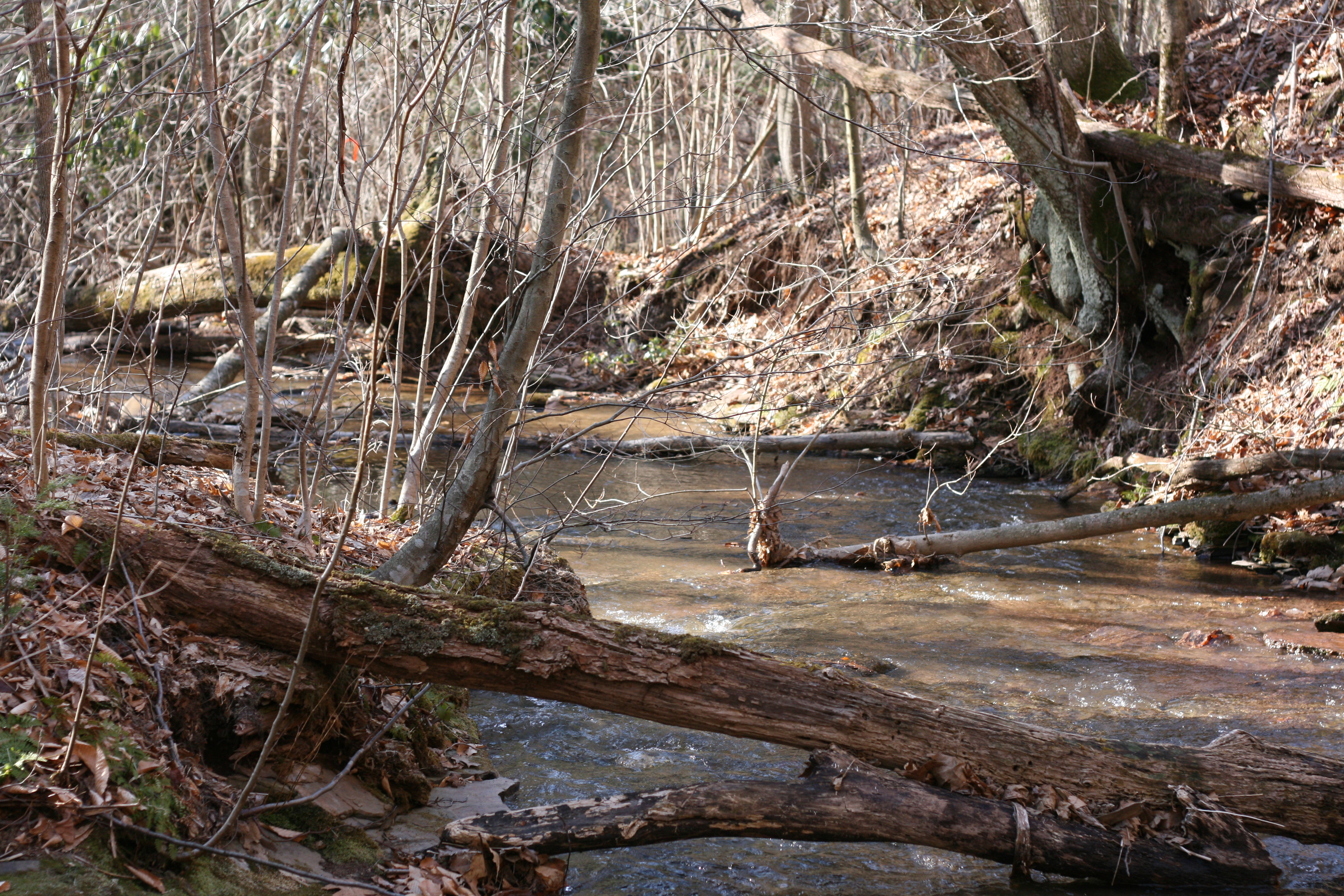Field photo showing stream conditions at site YOUG-121-A-2009-1