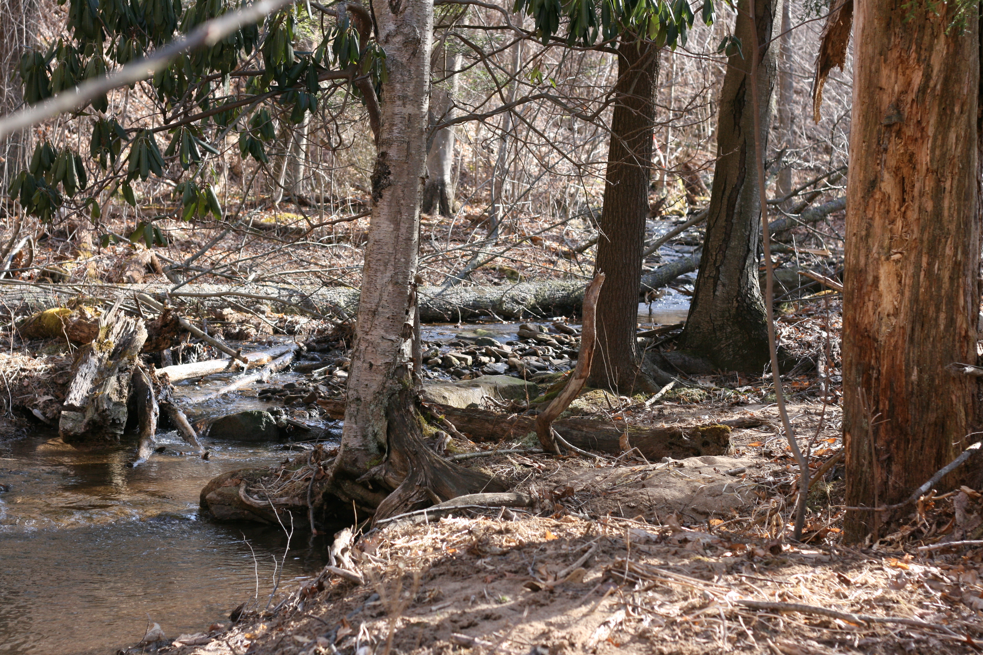 Field photo showing stream conditions at site YOUG-121-A-2009-2