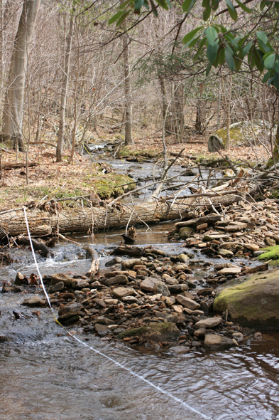 Field photo showing stream conditions at site YOUG-121-A-2010-1