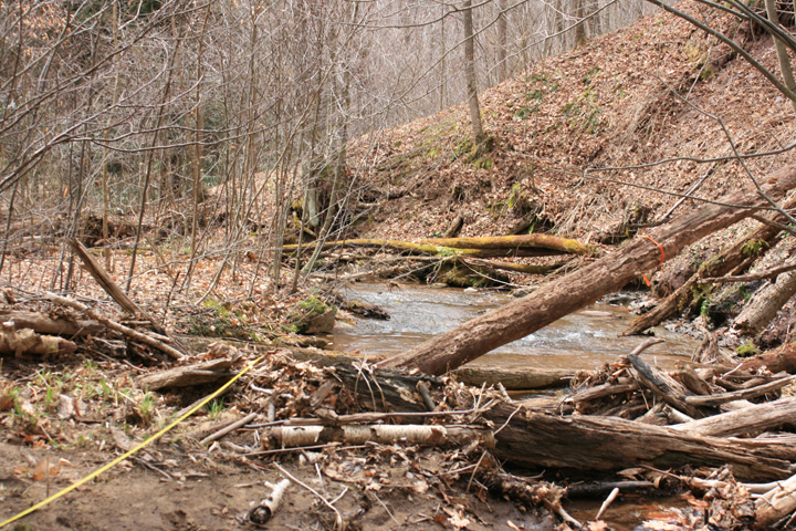 Field photo showing stream conditions at site YOUG-121-A-2010-2