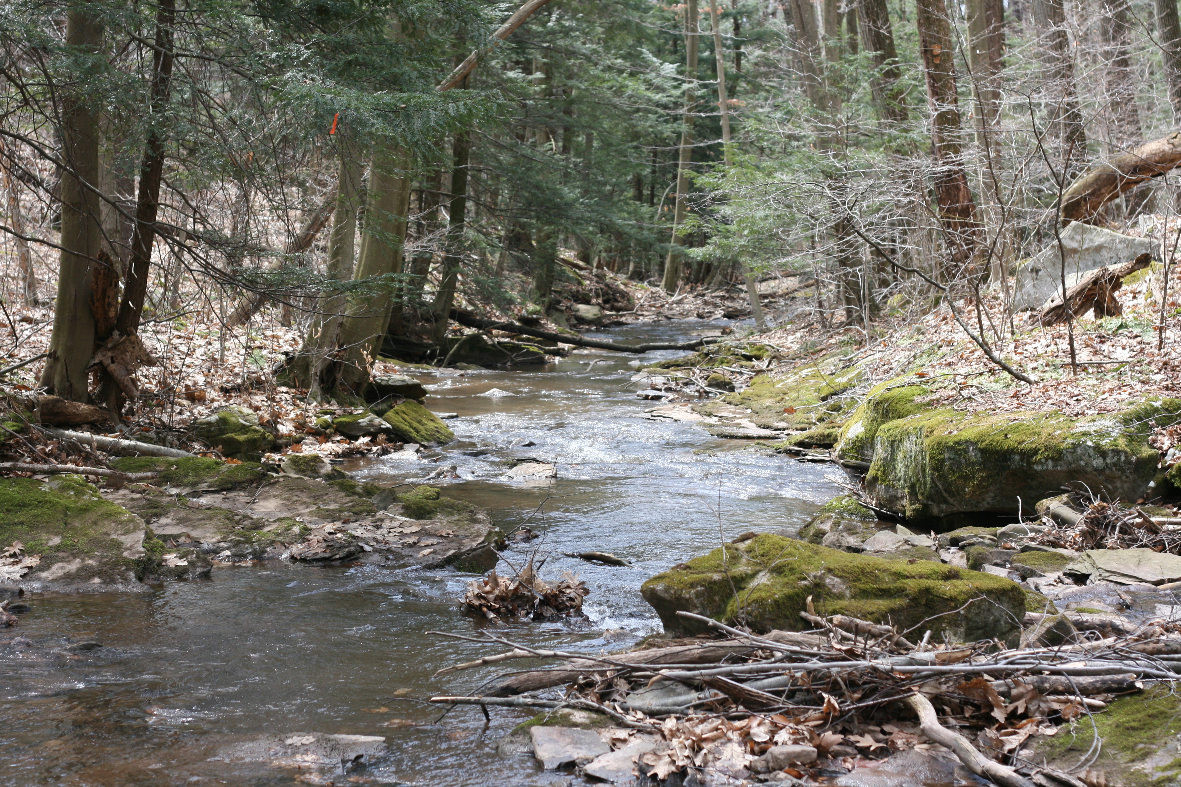 Field photo showing stream conditions at site YOUG-122-A-2009-1