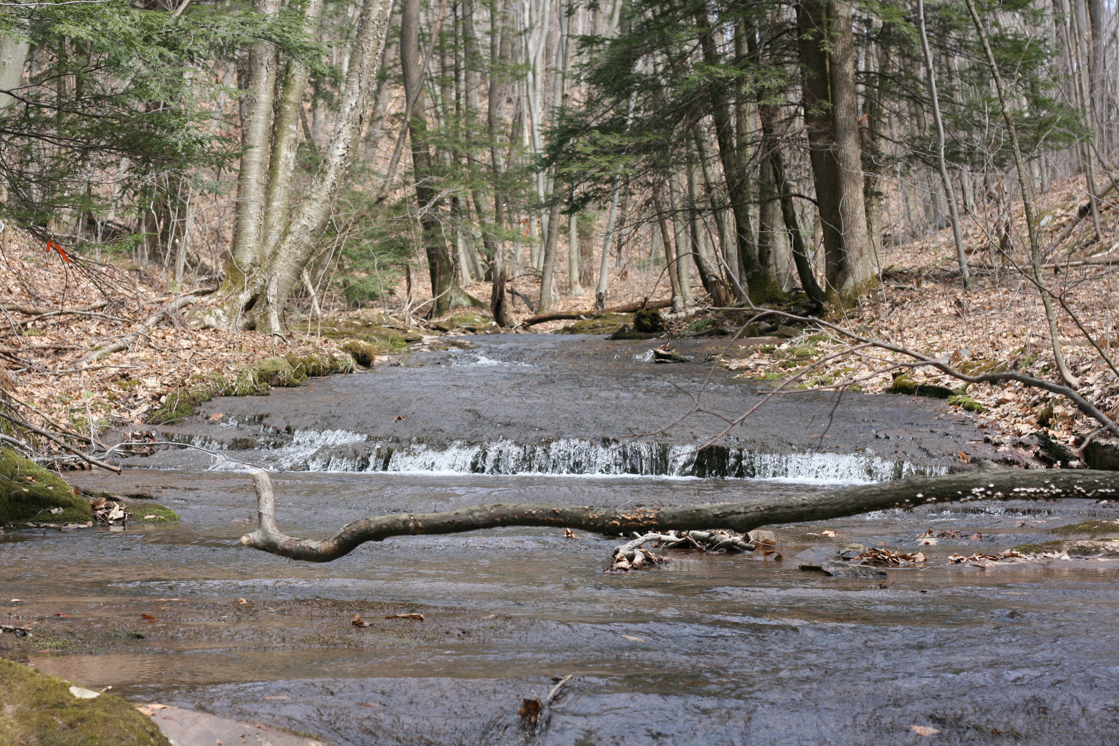 Field photo showing stream conditions at site YOUG-122-A-2009-2