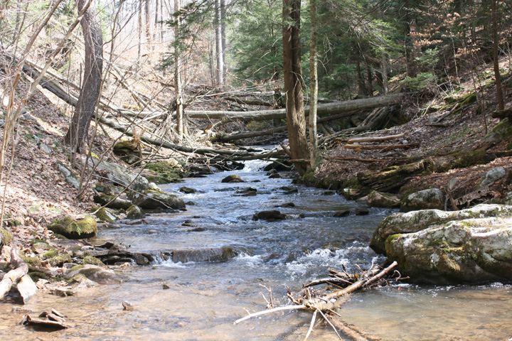 Field photo showing stream conditions at site YOUG-122-A-2010-1