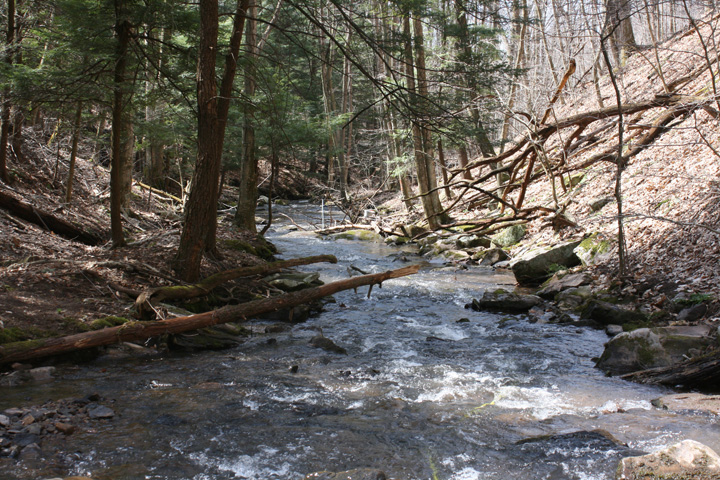 Field photo showing stream conditions at site YOUG-122-A-2010-2